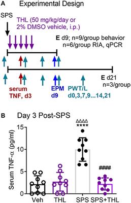 TNF-Alpha as an Initiator of Allodynia and Anxiety-Like Behaviors in a Preclinical Model of PTSD and Comorbid Pain